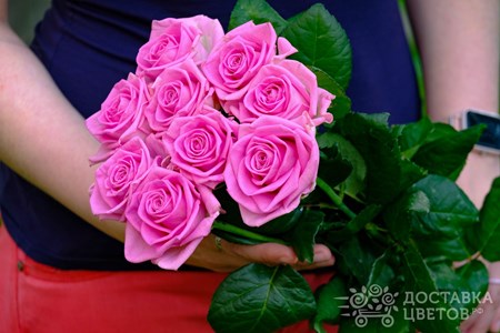 Букет из 9 розовых роз "Аква"
